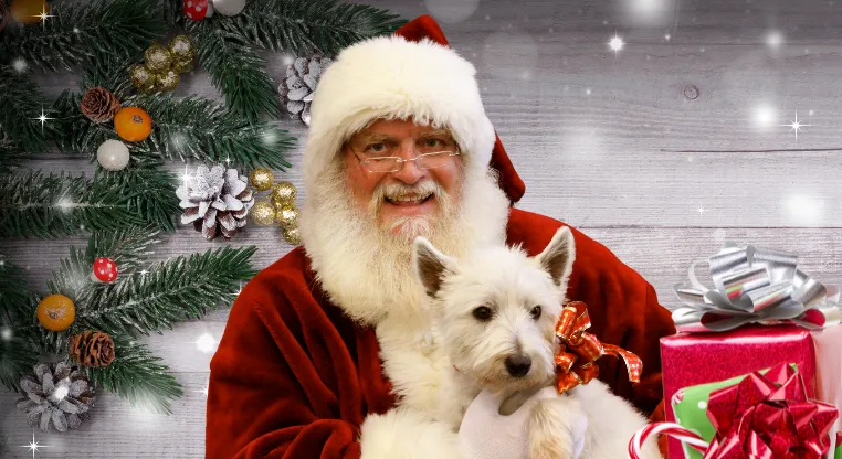 Santa with dog